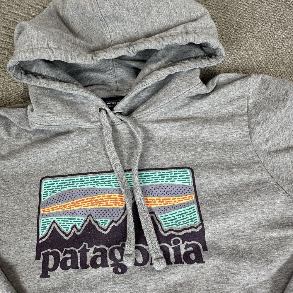 Patagonia Gray Hoodie with Multicolor Logo
